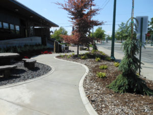 Entrance to Spokane Civic Theatre with the new added trees and lanscaping